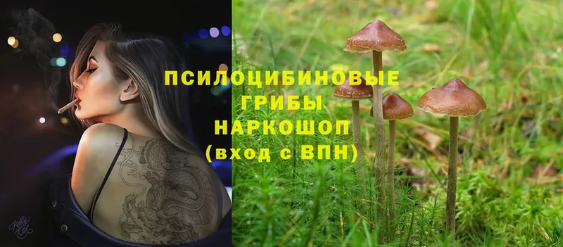 Галлюциногенные грибы MAGIC MUSHROOMS  darknet официальный сайт  Верещагино 